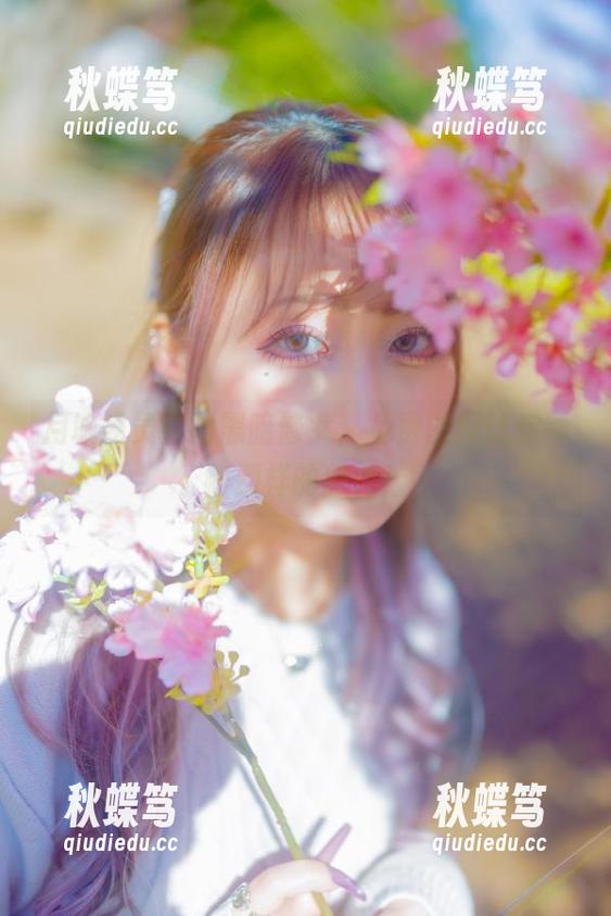 月城委员会的黑暗修女，免费图册让你领略别样的魅力！